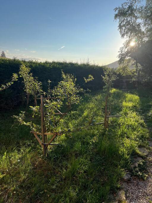 Nuit Insolite - La Cabane Du Haut-Doubs Les Gras Exteriér fotografie