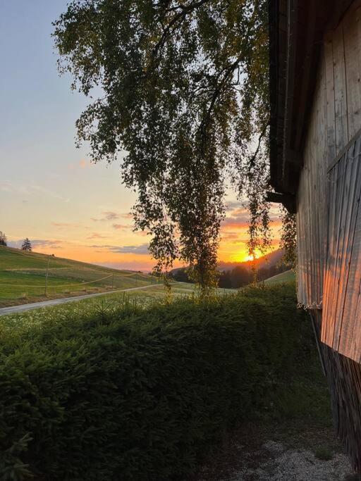 Nuit Insolite - La Cabane Du Haut-Doubs Les Gras Exteriér fotografie