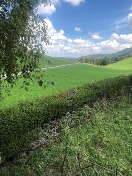 Nuit Insolite - La Cabane Du Haut-Doubs Les Gras Exteriér fotografie