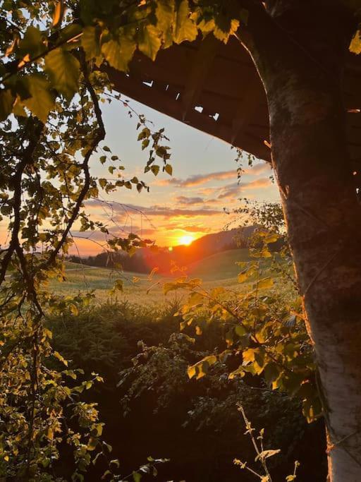 Nuit Insolite - La Cabane Du Haut-Doubs Les Gras Exteriér fotografie